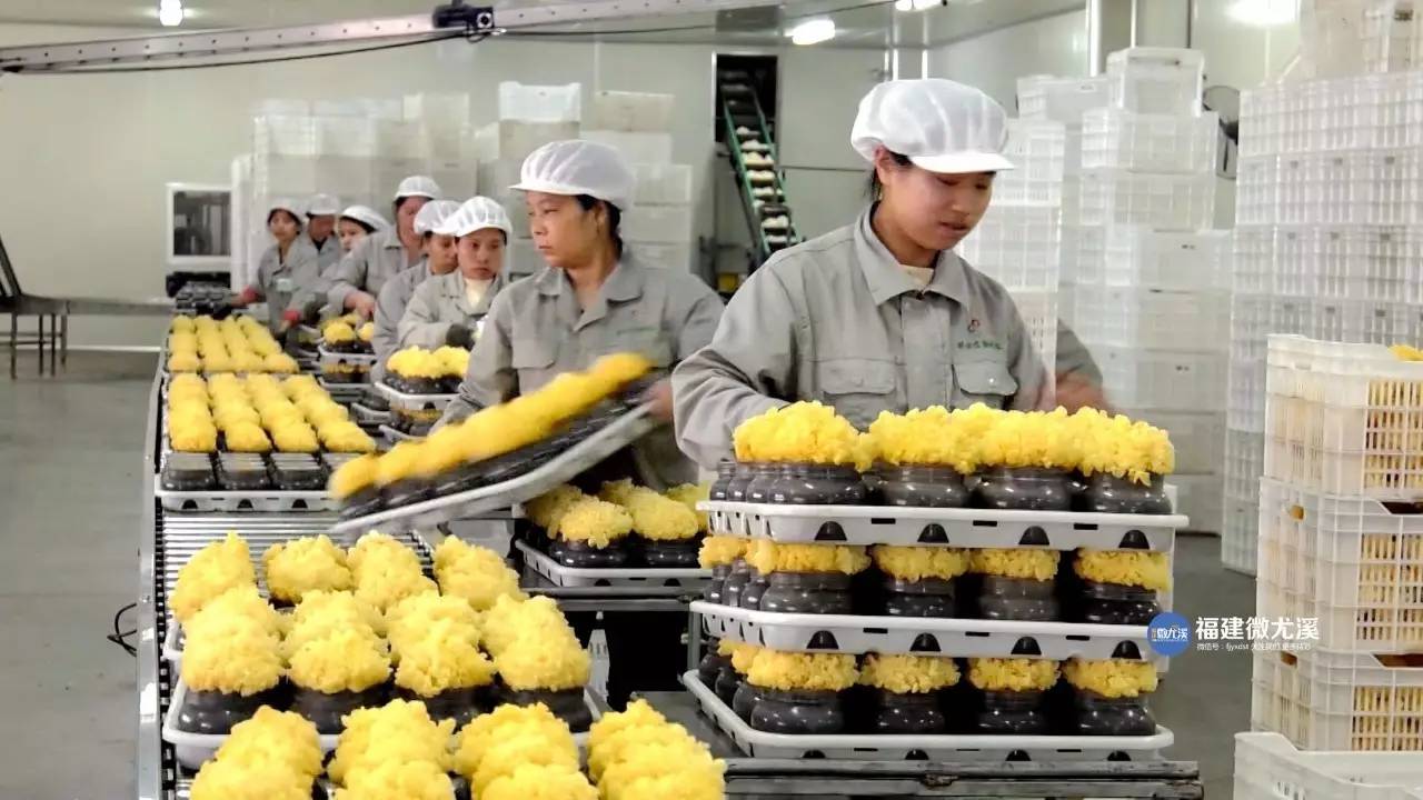 【棒棒哒】产品远销美国!尤溪这个特色产业走出创新路!
