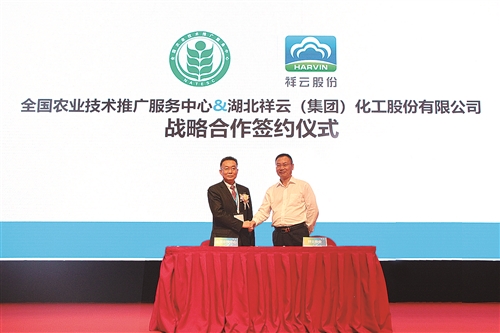 构建高效技术推广服务体系，赋能乡村振兴新篇章——中华合作时报观察