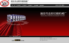 瑞安求实网络 一站式信息技术服务，助力企业数字化腾飞